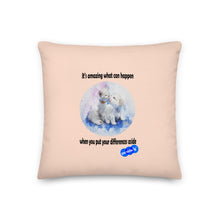 Load image into Gallery viewer, DIFFERENCES ASIDE - YOUNICHELY - Premium Pillow
